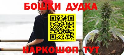 дмт Кинель