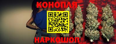 мдпв Кимры