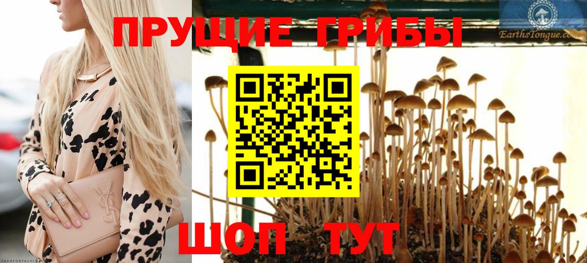 Псилоцибиновые грибы ЛСД  Вход с VPN  Балтийск  Галлюциногенные грибы MAGIC MUSHROOMS 